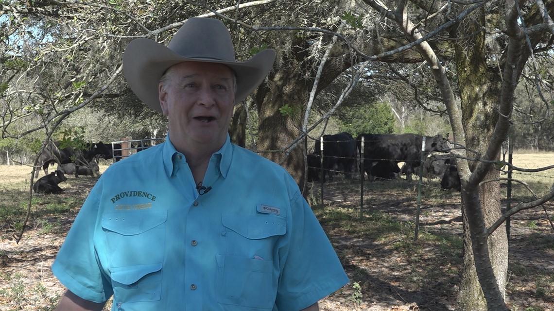 Florida farmers weigh in on possible ban of lab-grown meat [Video]