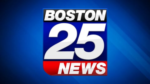Law enforcement agencies disrupt prolific ransomware group LockBit  Boston 25 News [Video]