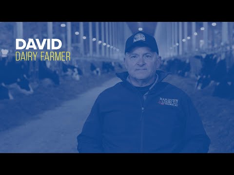 DAVID | State of the State 2024 Profiles [Video]
