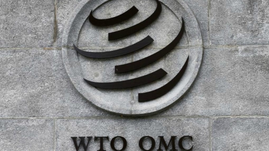13th WTO Ministerial Conference talks to enter fifth day as consensus yet to be reached on key issues [Video]