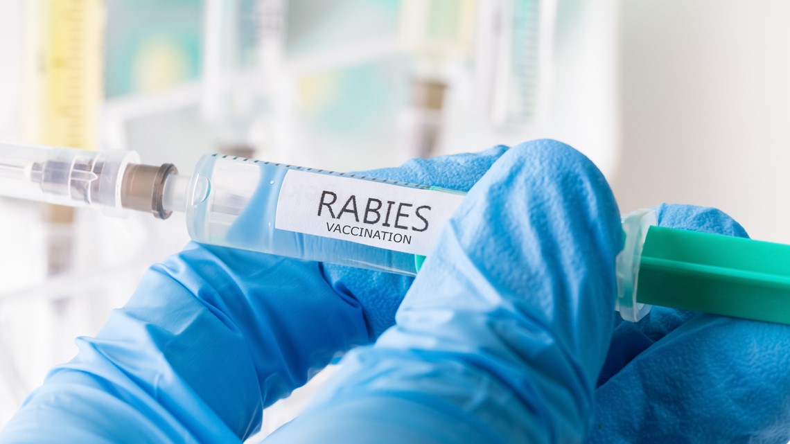 Dog, raccoon test positive, Columbia County issues rabies alert [Video]