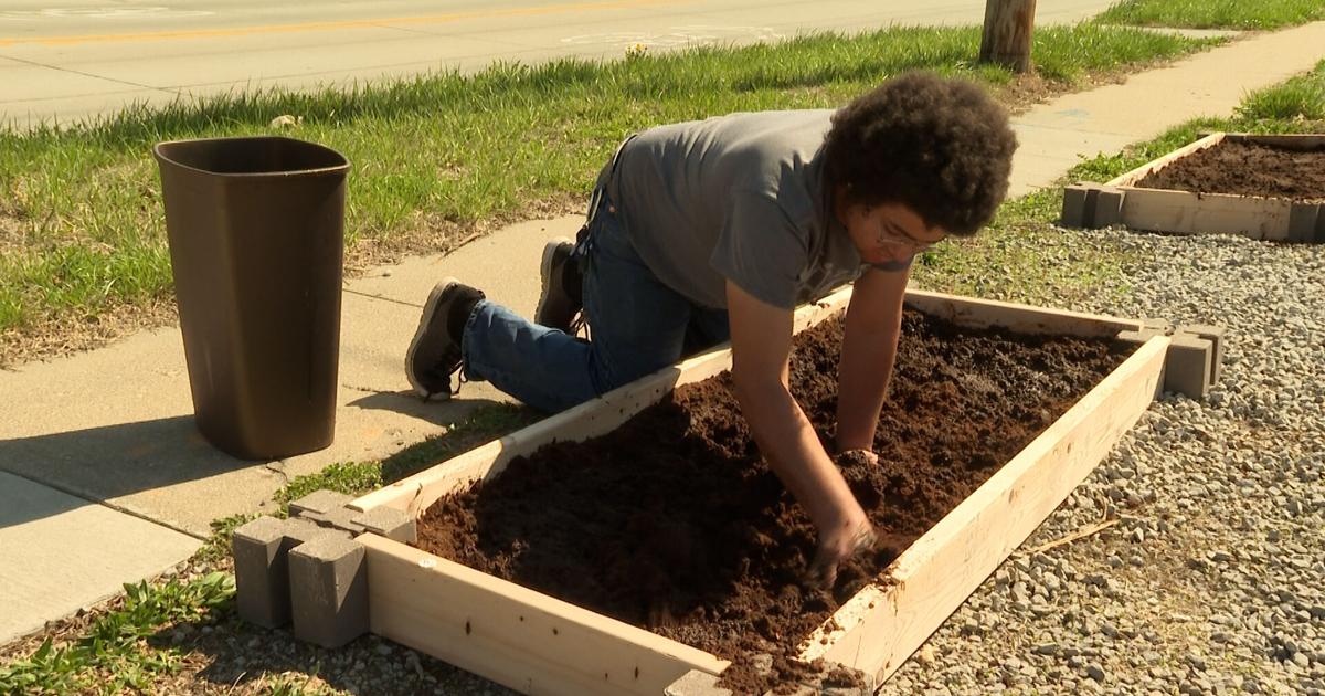 Columbia community center kickstarts spring with native plant garden | Mid-Missouri News [Video]