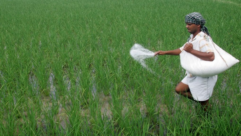 Centre allows urea imports by state-owned fertiliser companies until March 2025 [Video]