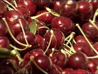 Washingtons cherry growers now eligible for federal emergency assistance [Video]