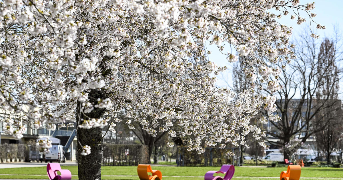 The first day of spring in 2024 is a day earlier than typical years. Here’s why. [Video]