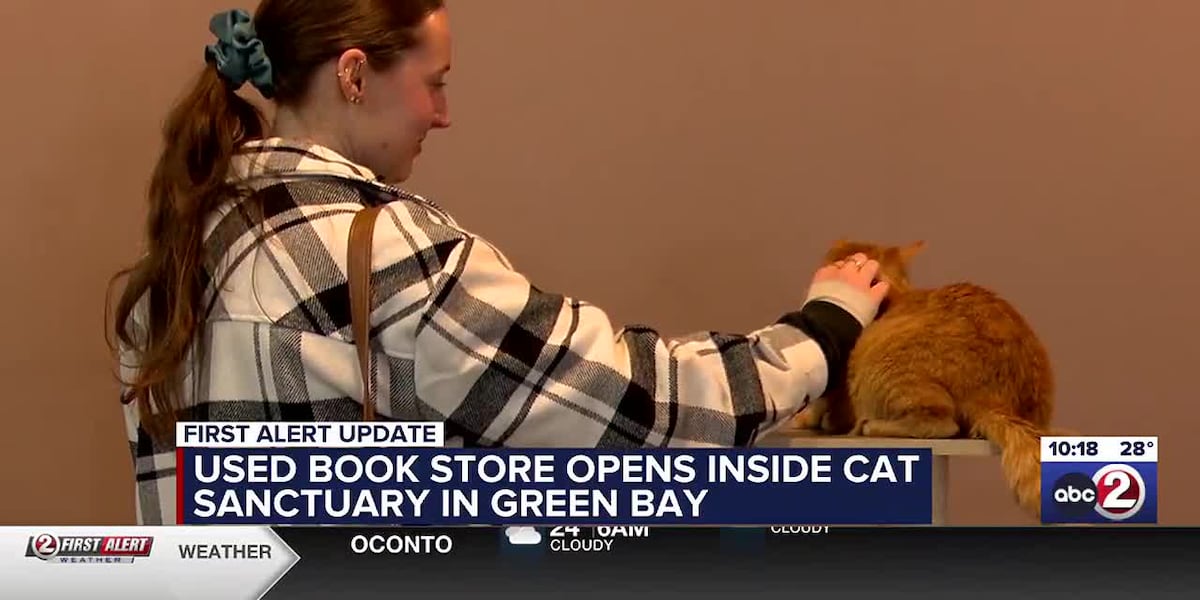 Used book store opens inside cat sanctuary in Green Bay [Video]