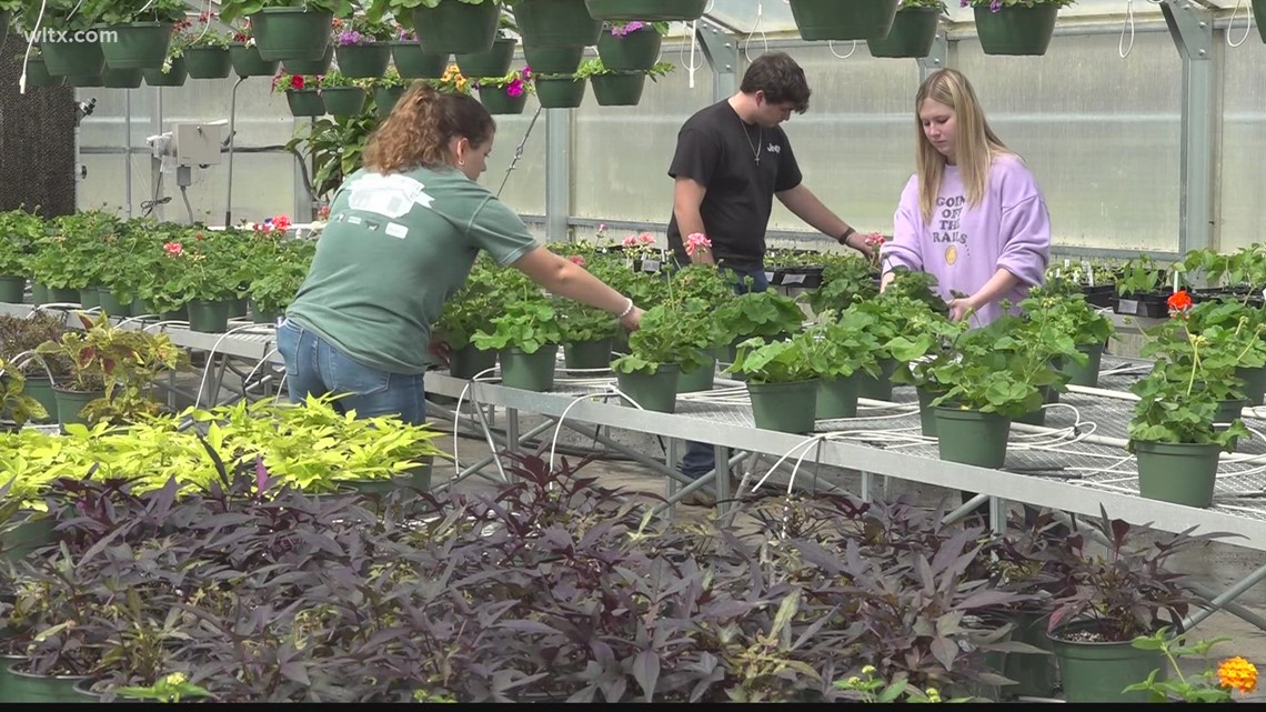 Midlands students host annual spring plant sale [Video]