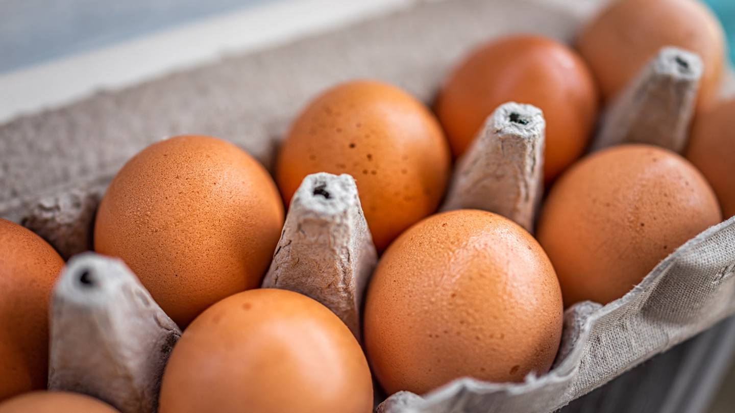 Egg prices continue to increase ahead of Easter  WPXI [Video]