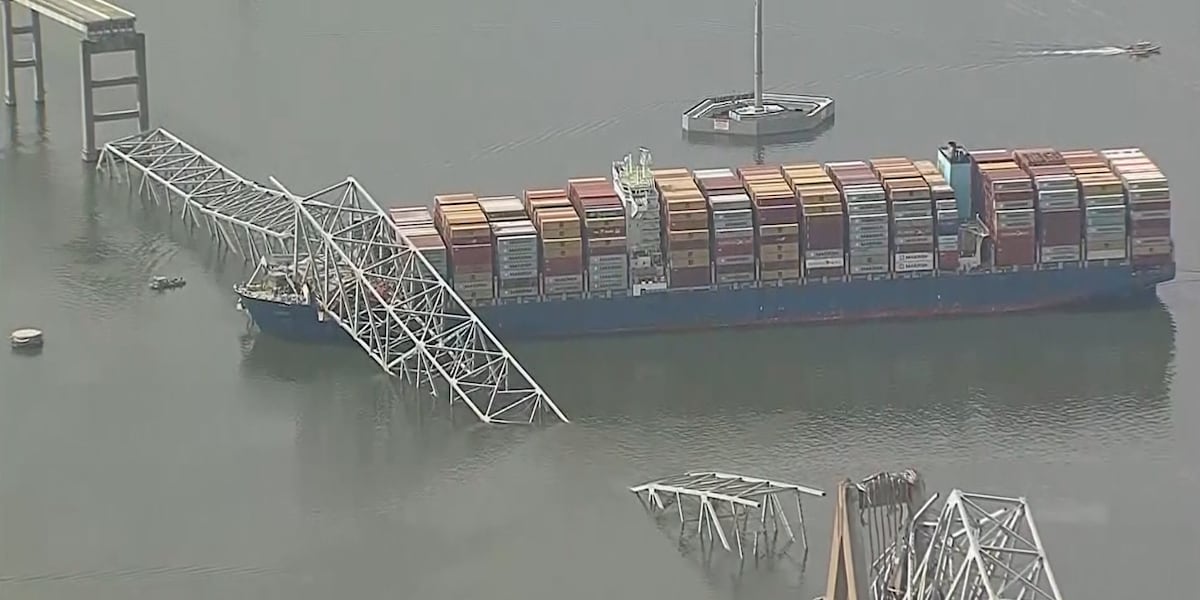 Retired river pilot, Coast Guard know Baltimore-like bridge disaster could happen on the Mississippi [Video]