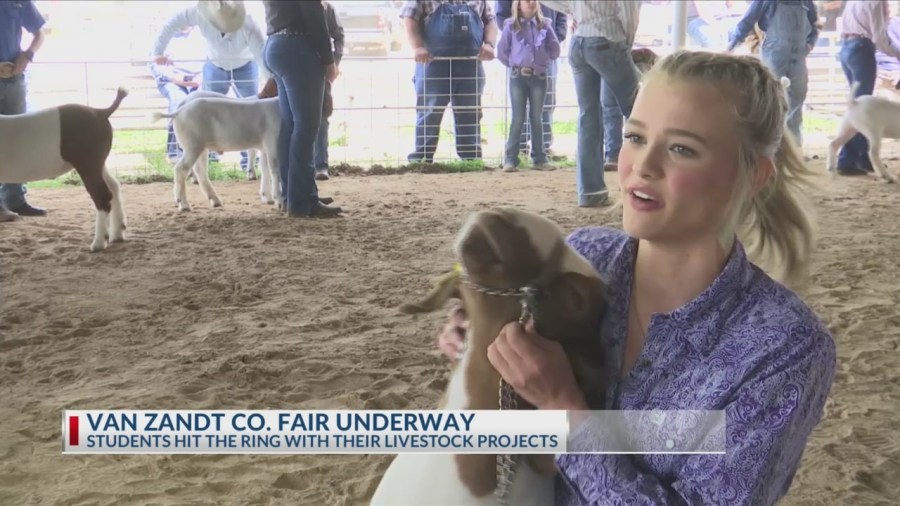 Next generation of agriculture shines at Van Zandt County Fair and Livestock Show [Video]
