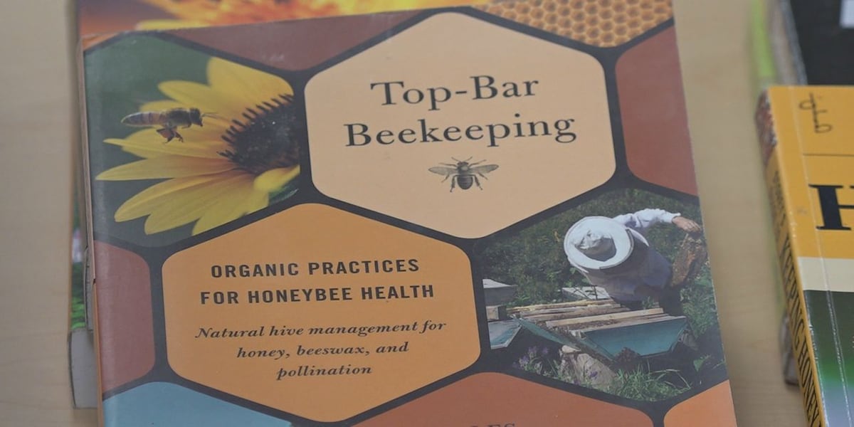 The Future of Beekeeping in South Dakota looks bright for agriculture [Video]