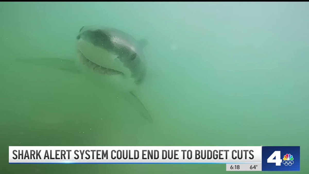 Shark alert system could end due to budget cuts  NBC Los Angeles [Video]