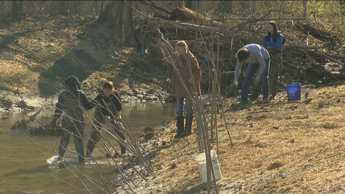 Toledo Public Schools students restoring natural habitat along Hill Ditch [Video]