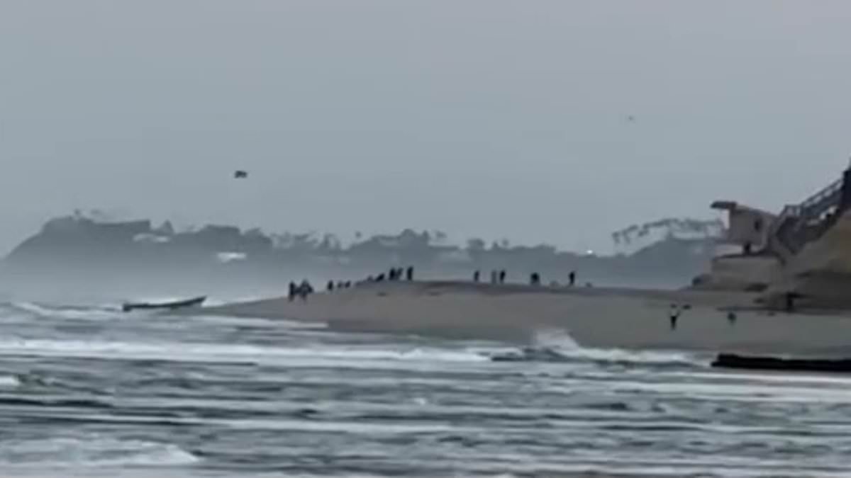 Moment Panga boat filled with migrants washes up on San Diego beach, with federal agents intercepting 10 of them while others fled scene [Video]