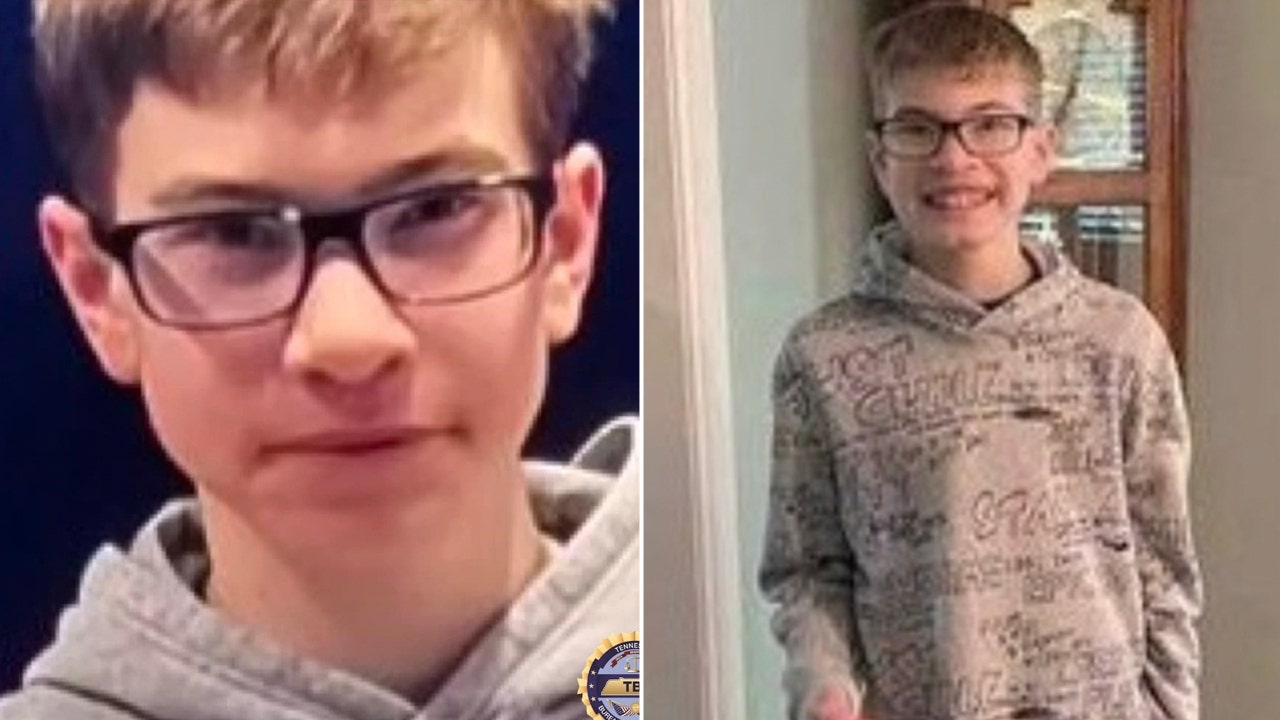 Volunteer search scaled back for missing teenager with autism Sebastian Rogers [Video]