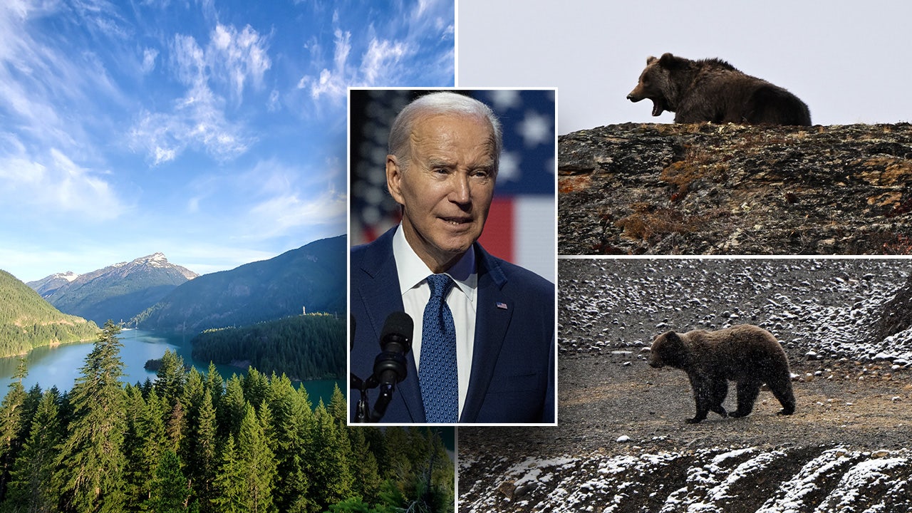 Biden’s grizzly bear relocation plan poses ‘real danger’ to families and livestock, cattle producer warns [Video]
