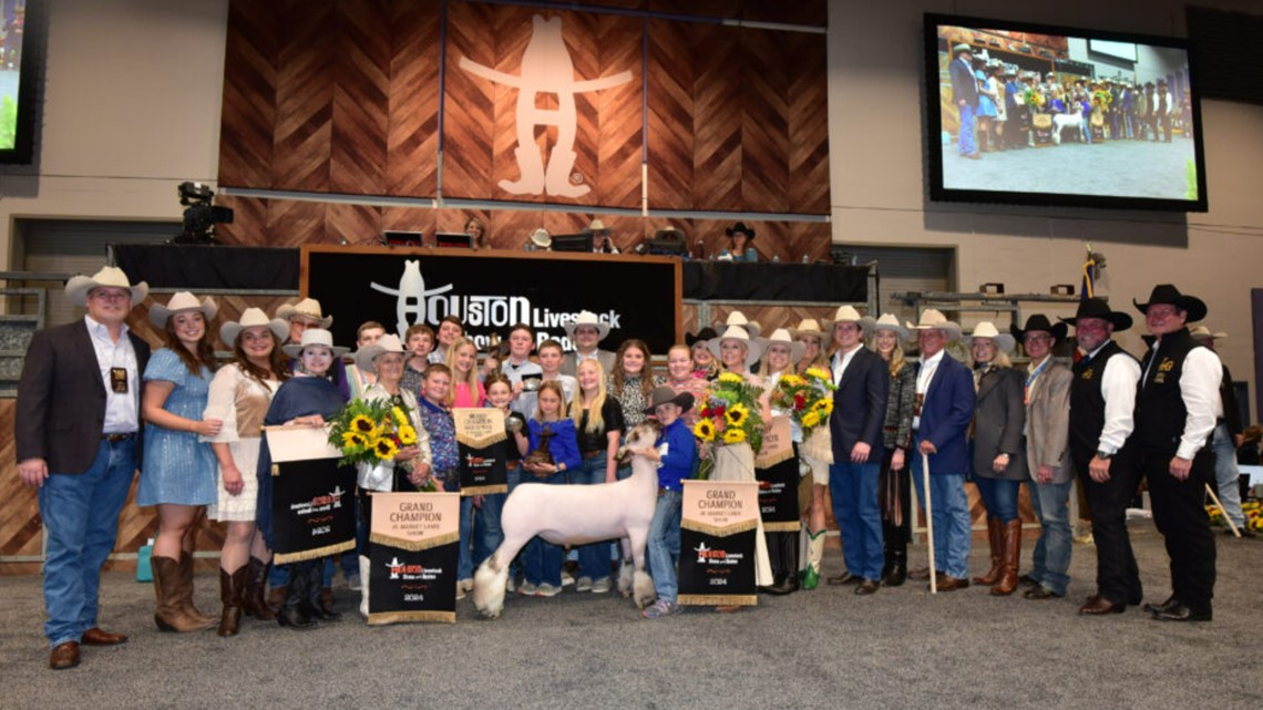 Houston Livestock Show and Rode: Records broken at junior auction [Video]