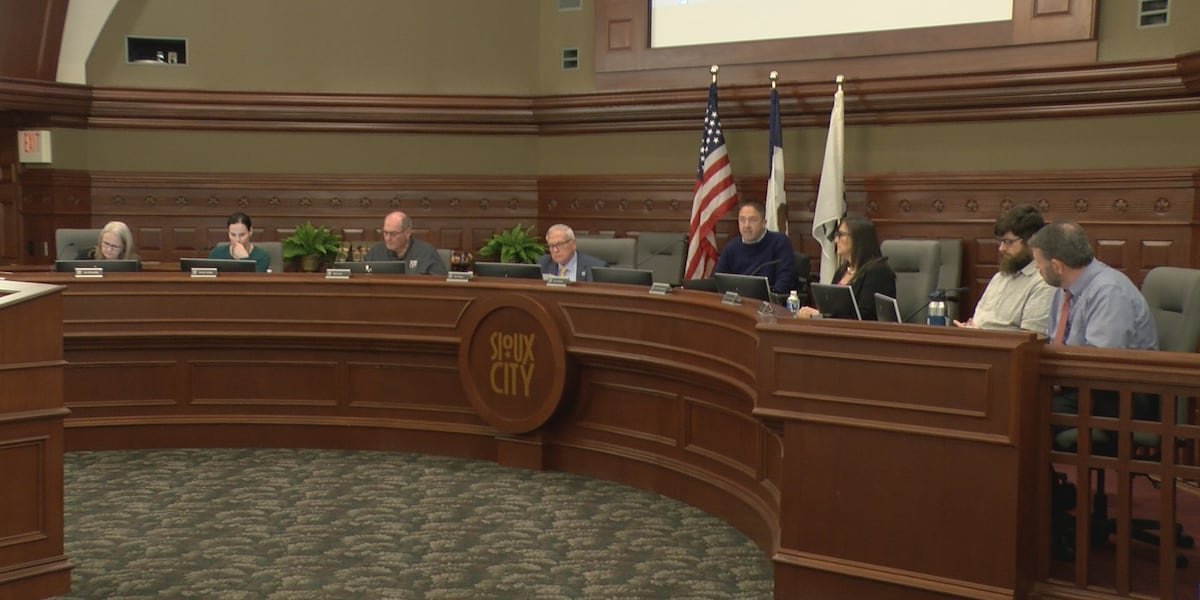 CITY COUNCIL PREVIEW: Budgets, new apartments, McDonalds and more [Video]