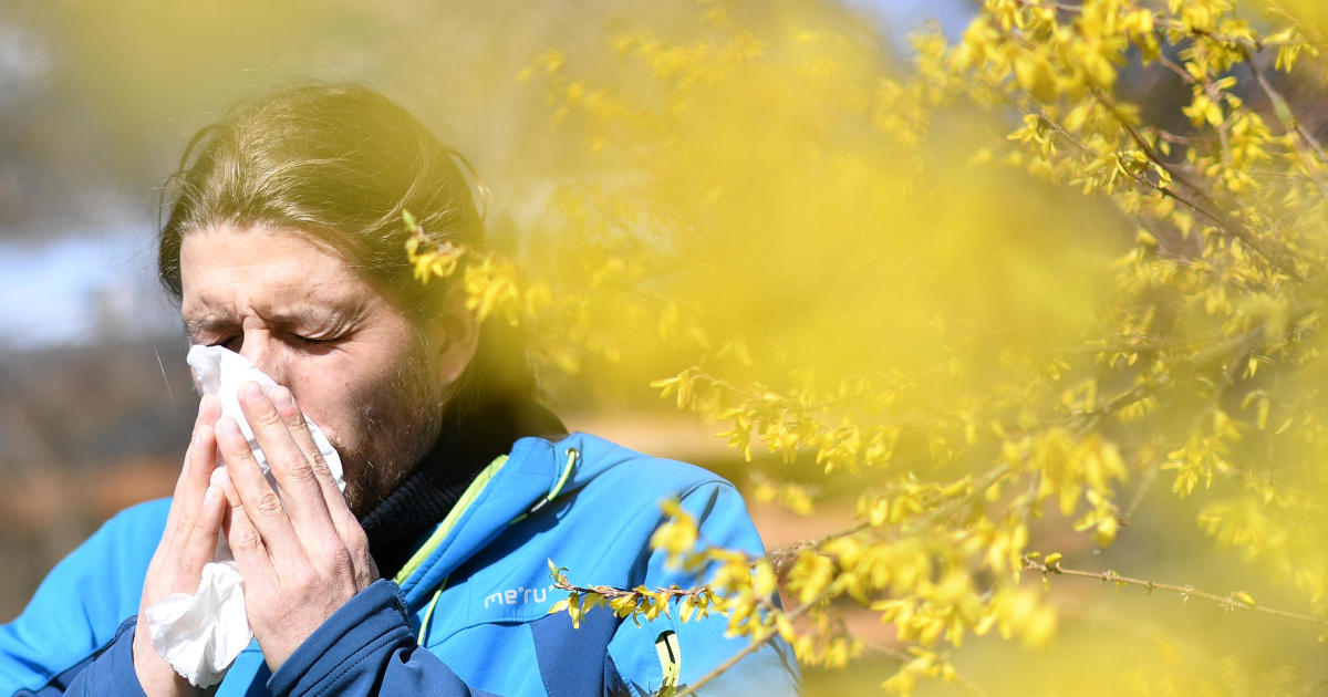 Seasonal allergies are here for spring 2024. What to know about symptoms and pollen count [Video]