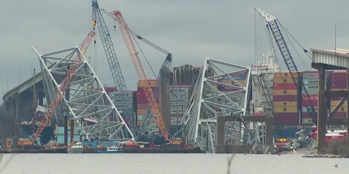 Baltimore bridge collapse: Race to open critical channel [Video]