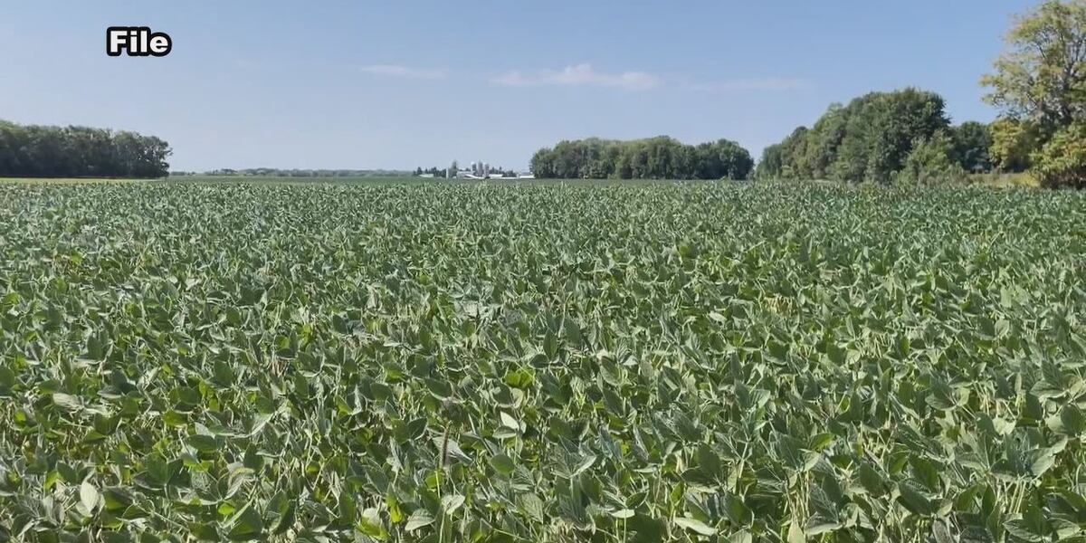 South Dakota farmers urge Congress to protect conservation funds [Video]