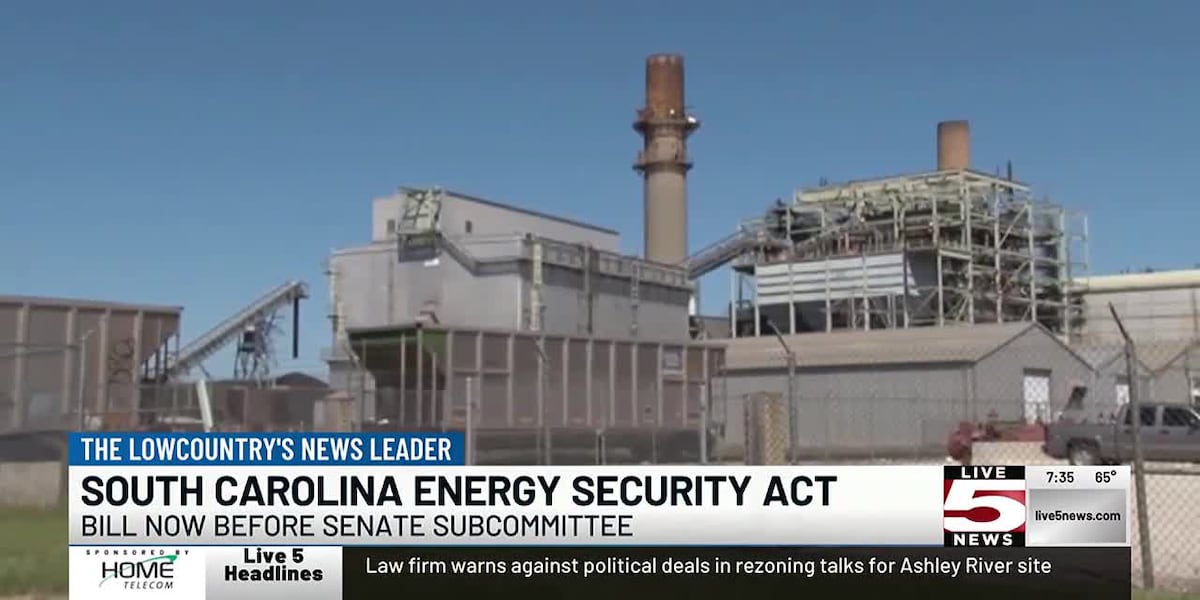 VIDEO: With time running out, SC senators take up controversial energy bill [Video]