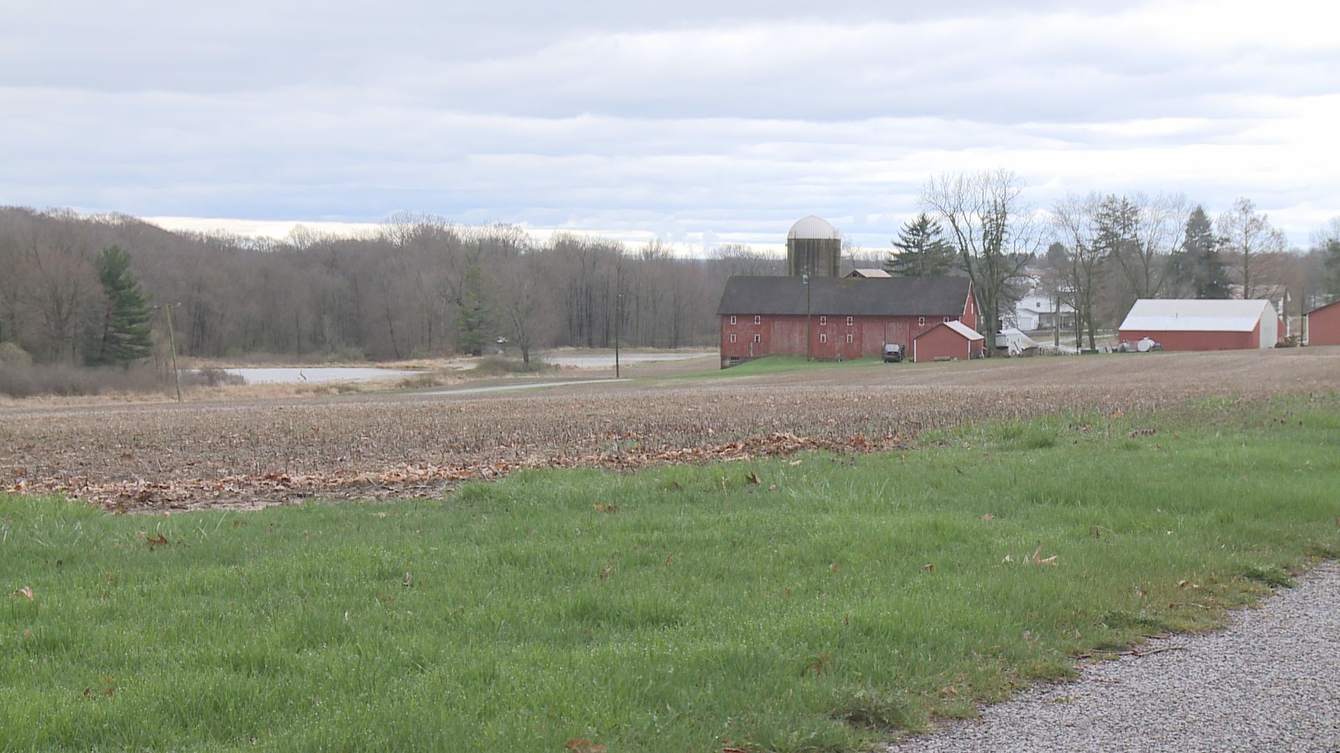 Some Ohio farmers optimistic, despite growing season challenges [Video]