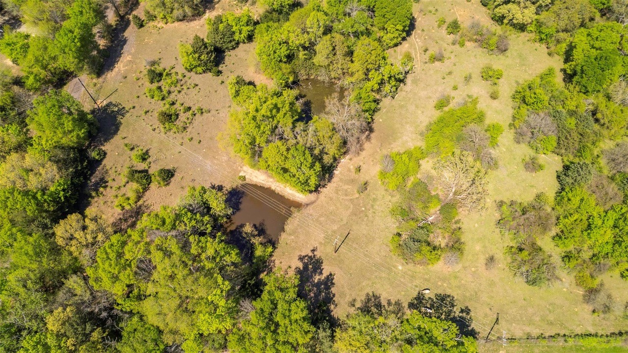 Land Buyers Can Find 81 Scenic Acres Available South of Sulphur Springs, Texas [Video]