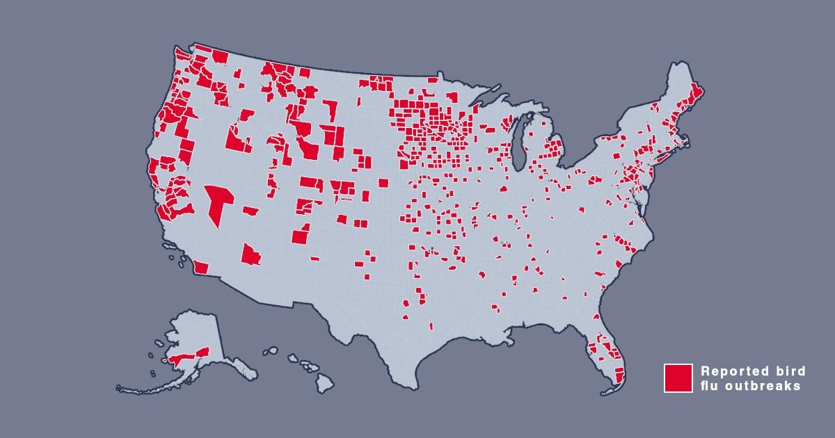 Map shows where bird flu is spreading in US amid new warning | US News [Video]