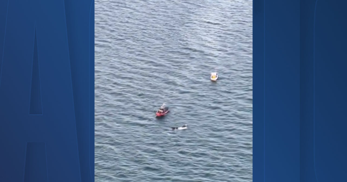 Coast Guard rescues 3 adults, 2 kids, after boat capsizes near Crystal River [Video]