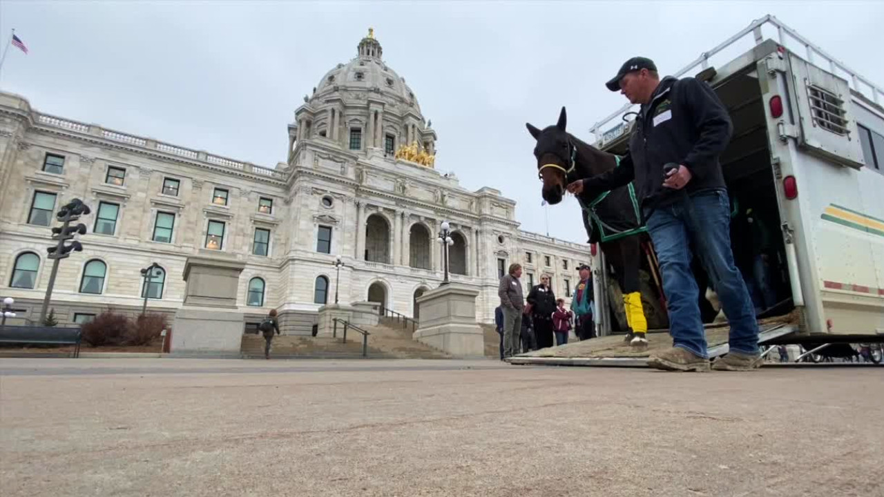 Horse industry, DFL lawmaker at odds over gambling [Video]