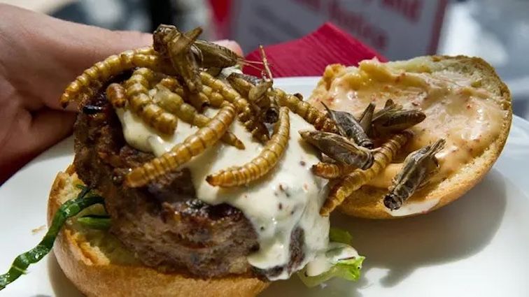 Democrats Sign WEF Treaty To Secretly Hide Insects in Popular U.S. Foods [Video]