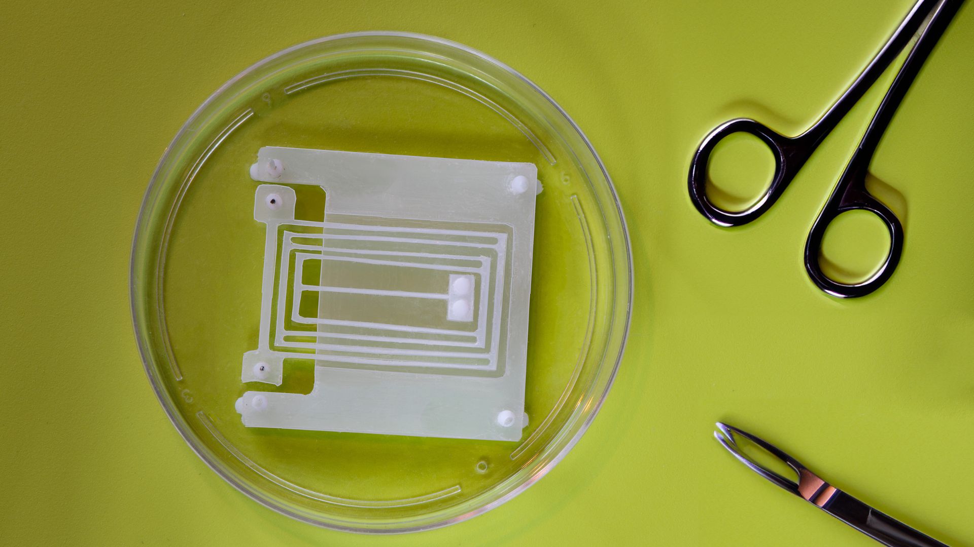 MIT engineers craft spring device to enhance robotic muscles [Video]