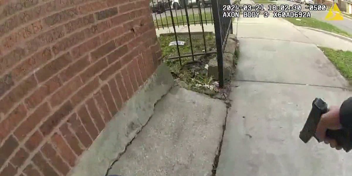Chicago PD traffic stop video released