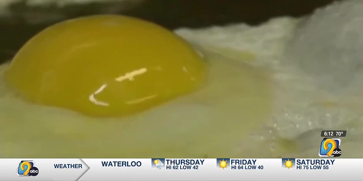 Cedar Rapids bakery struggling as egg prices rise 2 years after 2022 bird flu outbreak [Video]