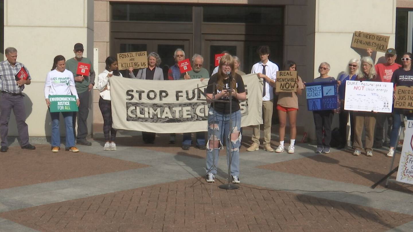Public weighs in on Duke Energys plans to increase capacity and cut emissions  WSOC TV [Video]