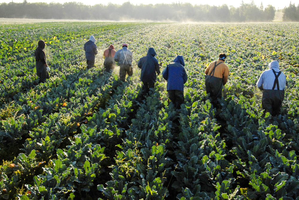 Proposed minimum wage for Maine farmworkers heads toward passage [Video]