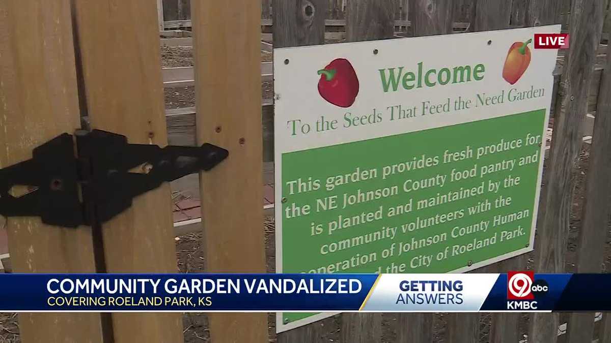Roeland Park’s ‘Seeds That Feed the Need’ community garden vandalized [Video]