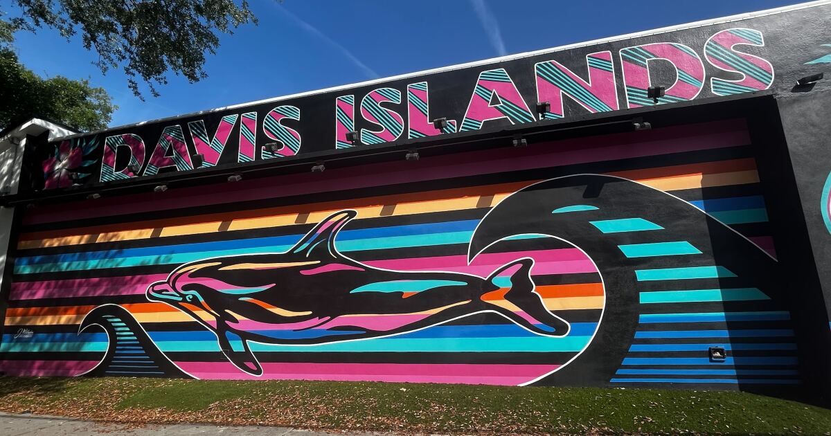 Davis Islands Civic Association works to beautify, protect the islands [Video]