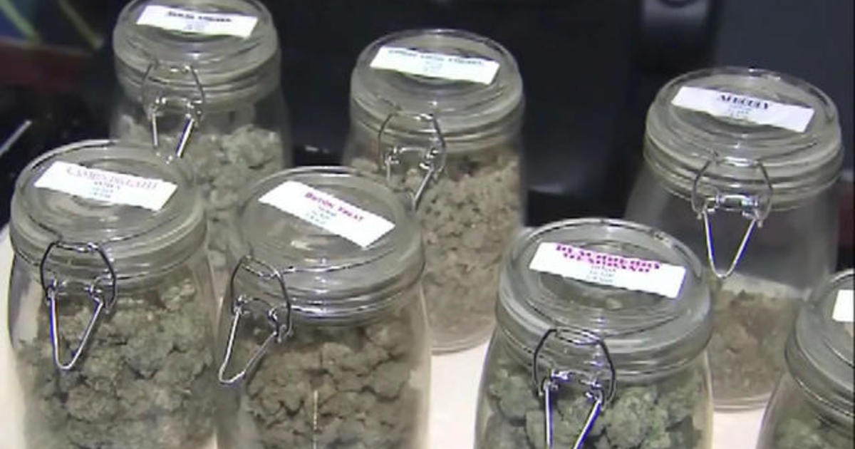 Illicit marijuana tied to Chinese criminal networks infiltrates Maine [Video]