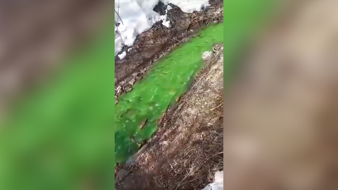 River in Russia suddenly turns bright green: report [Video]