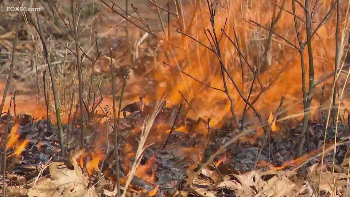 Conn. crews train for brush fire season with ‘prescribed burn’ [Video]