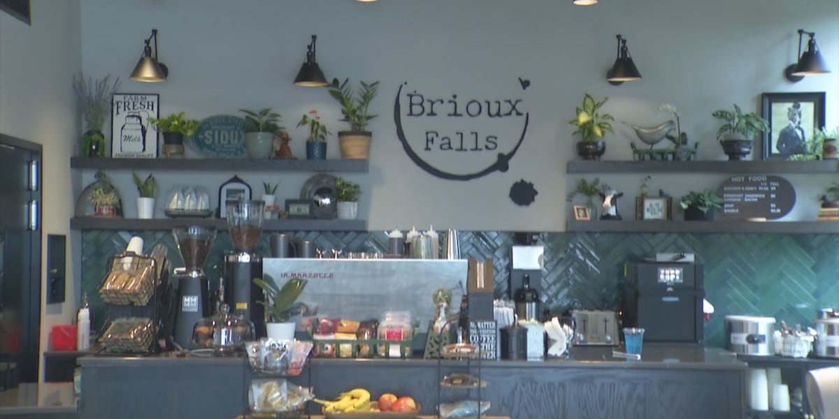Brious Falls opens at the Steel District [Video]