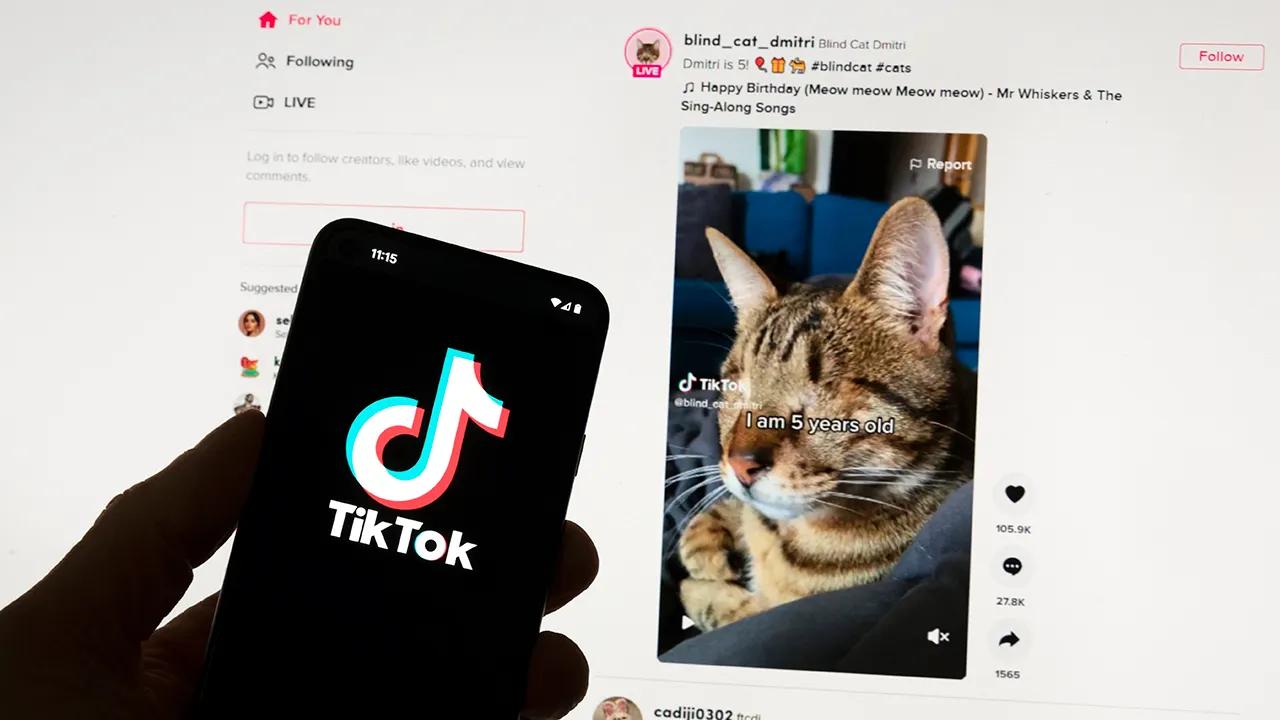European Union reviewing details from TikTok on the video platform’s new app that pays users to watch content