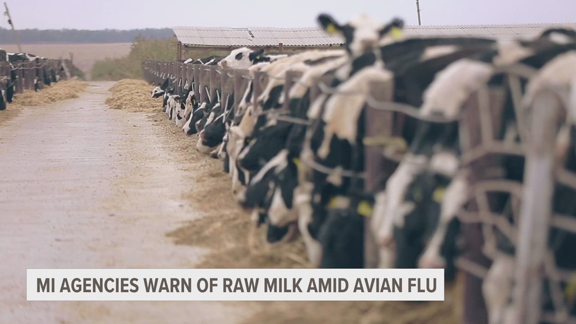 Michigan lawmaker, dairy farmer says food supply is safe amid rise in avian flu cases [Video]