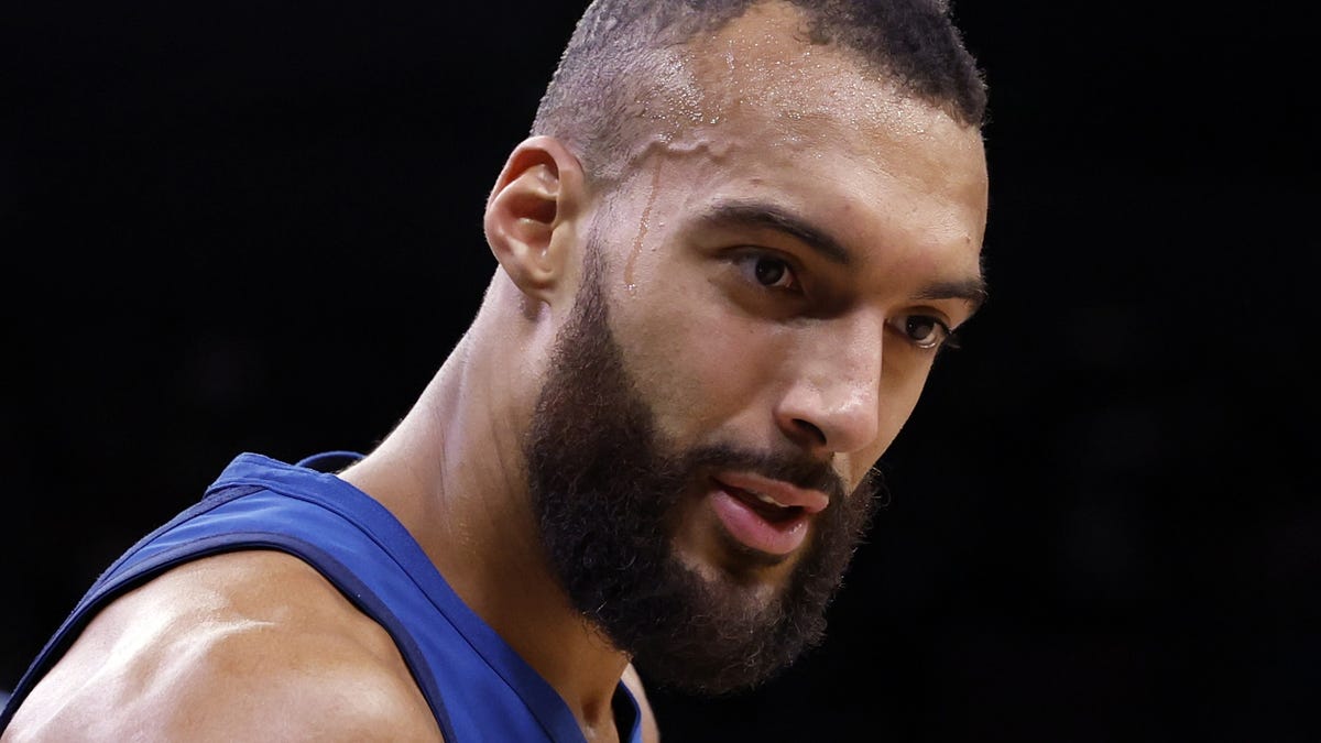 Rudy Gobert Opens Up About Racism He Faced from His Own Family [Video]