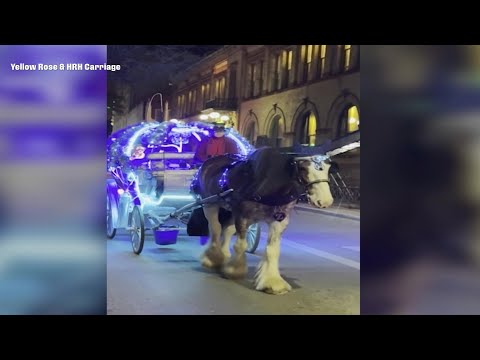 San Antonio city council committee forwards proposal to ban downtown horse-drawn carriage rides [Video]