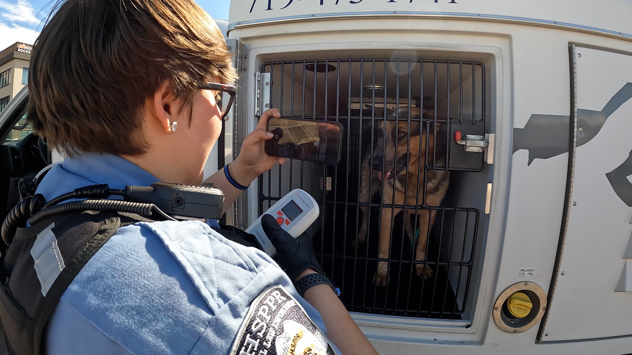 Animal Law Enforcement: protecting paws and people [Video]
