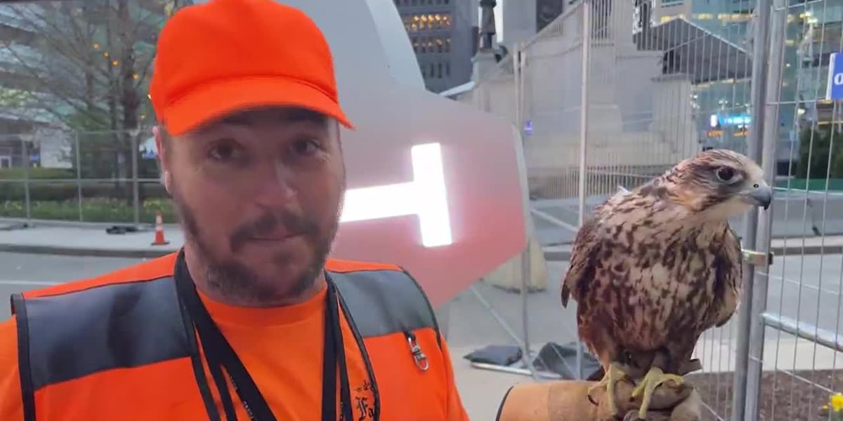 Trained birds hired to take on poop ahead of NFL draft in Detroit [Video]