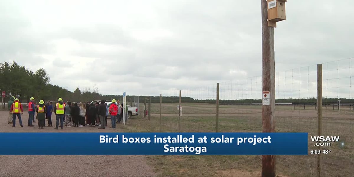 Solar farm near Nekoosa now equipped with essential bird boxes [Video]